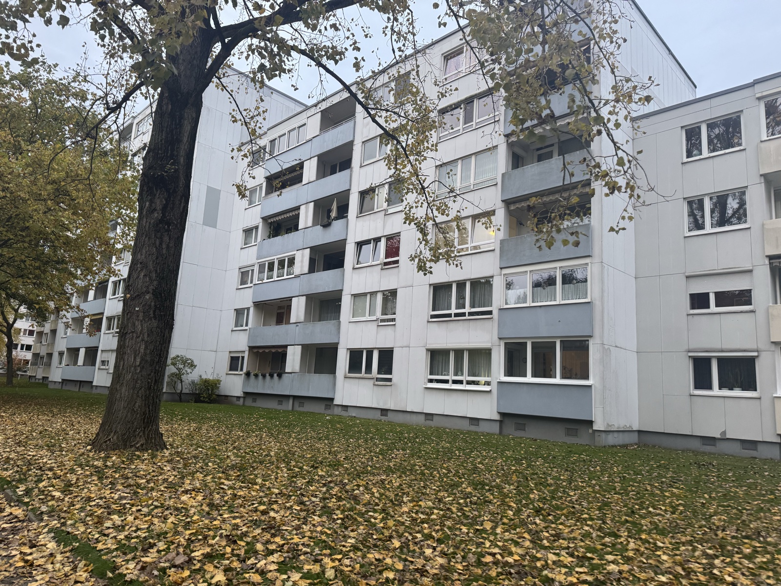 Mehrgeschossiger Wohnblock mit Balkonen hinter einem großen Laubbaum